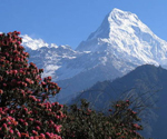 Annapurna South Expedition